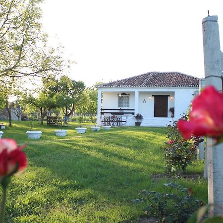 "Per Mik" Cottage In Vineyard Shkodër Exteriör bild