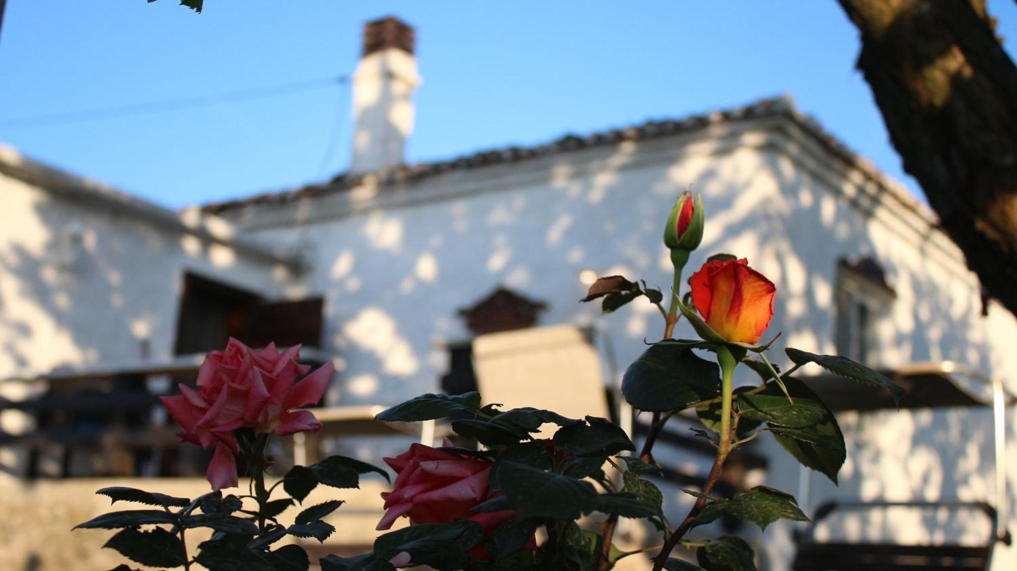 "Per Mik" Cottage In Vineyard Shkodër Exteriör bild
