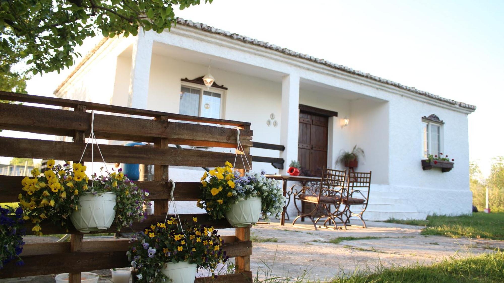 "Per Mik" Cottage In Vineyard Shkodër Exteriör bild