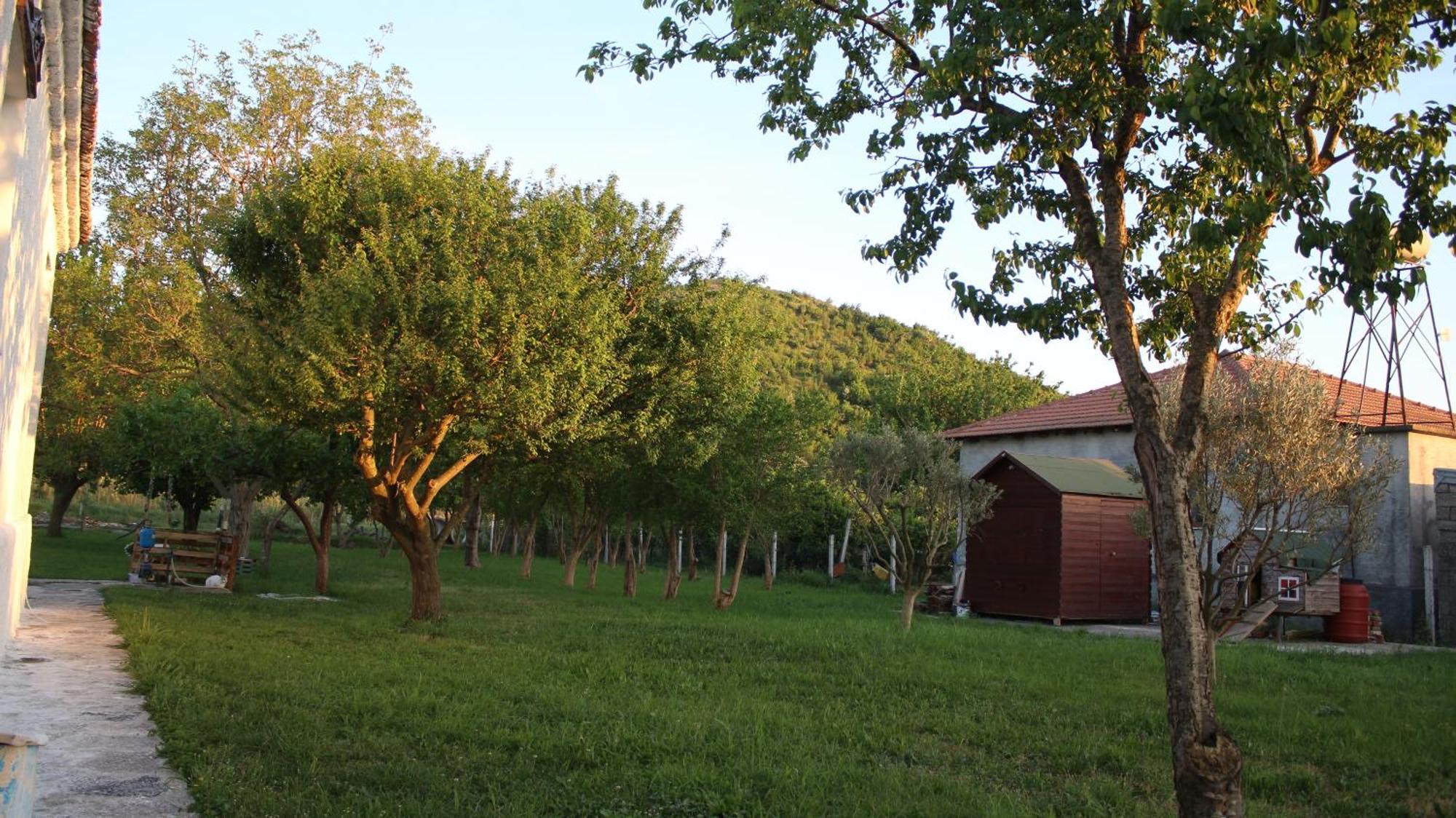 "Per Mik" Cottage In Vineyard Shkodër Exteriör bild